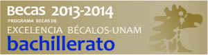 Becas 2011-2012